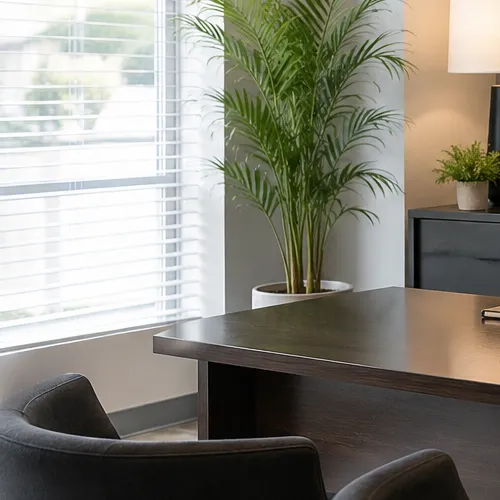 Illustrative image: a bright seating area by a window